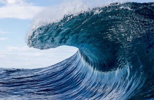 After the Blue Wave: Results, Re-balancing, and Economic Implications